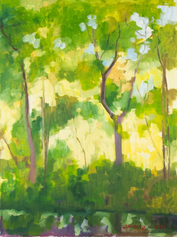 Arbres verdoyants avec rivière serpentine dans un paysage lumineux et naturel