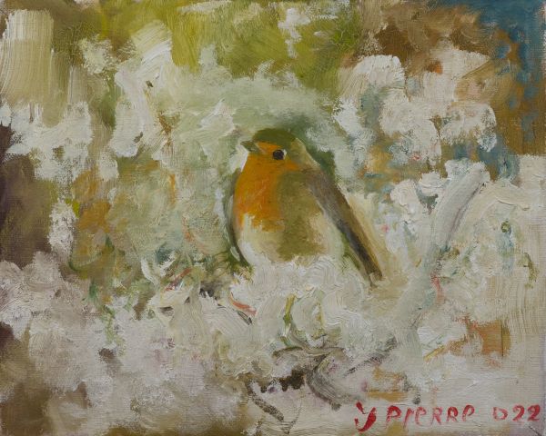 Rouge-gorge posé dans une végétation avec branches fines