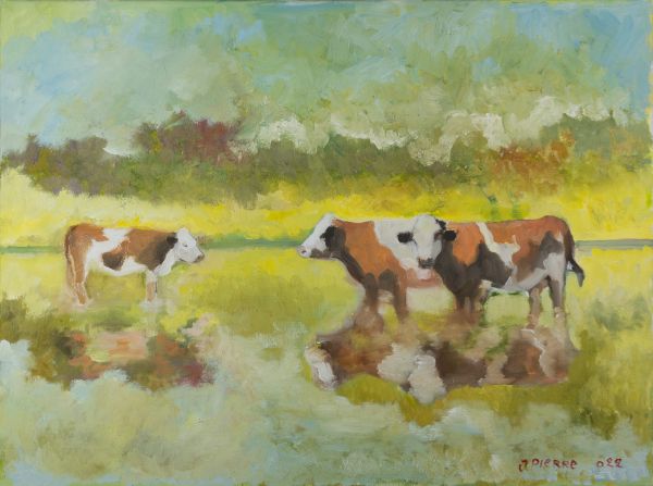 Vaches dans une prairie partiellement inondée avec reflets dans l’eau